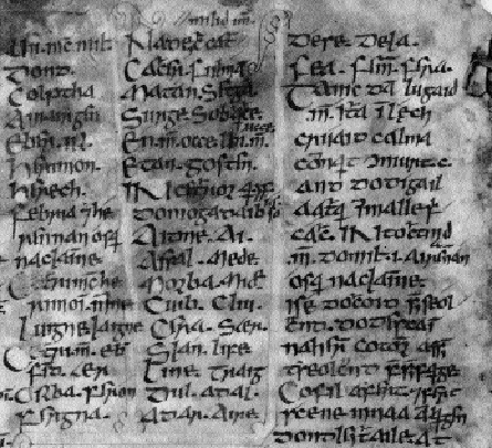 A list of the sons of Mí­l Espáine (left-hand column) from the Book of Leinster's copy of Lebor Gábála, TCD MS 1339. (Reproduced by permission of the Board of Trinity College, Dublin)