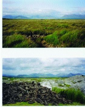 Bogland near Clifden, Connemara—one of the areas surveyed by Alexander Nimmo. 