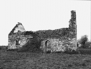 Parsonstown church, County Louth. (OPW)