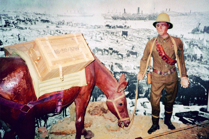 An exhibit on the Zion Mule Corps in the Jewish Legion's Museum, Avichayil, Israel.