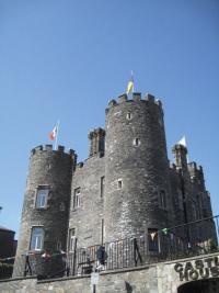 Enniscorthy Castle—used to house the unofficial Wexford county museum. The visitor can now appreciate the castle and its own history.