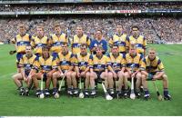 The victorious Clare hurlers of 1995, who finally laid the ‘curse of Biddy Early’ to rest. (Sportsfile)
