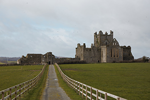 Above: Dunbrody Abbey, Co. Wexford, where pilgrims would have been able to claim hospitality.