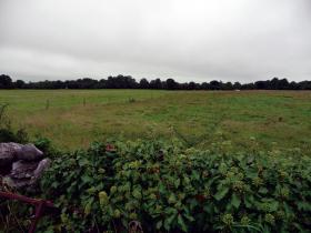 The field through which Constable McGoldrick pursued his attackers before being shot. (Alison Stenning)