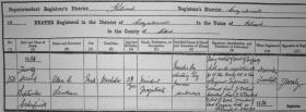 Captain Lendrum’s death certificate—under ‘Certified Cause of Death and Duration of Illness [column] (8)’ is clearly written ‘murder by shooting by persons unknown’. (National Archives)
