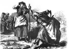 Mid-nineteenth-century engraving of women working with the spade in County Roscommon—things were not much different in mid-twentieth-century west Donegal . . . until Anthony John O’Donnell came along with his milk lorry in 1961. (Illustrated London News)