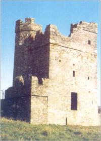 Tower house at Termofeckin, County Louth - Sweteman divided his time between here and Dromiskin. (OPW)