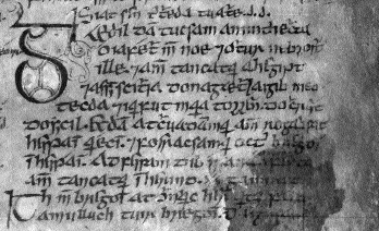 The story of íth is introduced in the Book of Leinster's copy of Lebor Gábála by an illuminated initial (bottom left-hand corner), TCD MS 1339. (Reproduced by permission of the Board of Trinity College, Dublin)