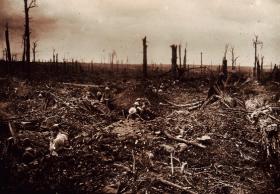Delville Wood, Battle of the Somme, 1916. (National Museum of Ireland)