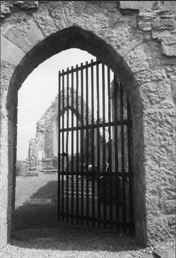 The Dominican abbey, Roscommon-Feidlim Ua Conchobair's last resting place. (Freya Verstraten)