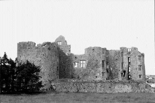 Roscommon castle, built by the justiciar in the reign of Feidlim's successor, íed na nGall. (Freya Verstraten)