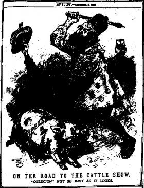 Pigs, Paddies, prams and petticoats Irish Home Rule and the British comic press, 1886–93 1