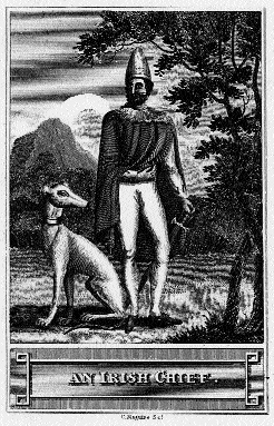 Illustration from Historical Memoirs of the Irish Bards by Joseph Walker.
