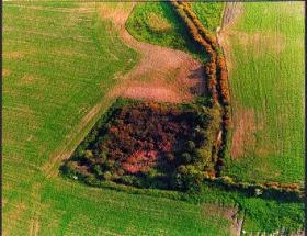 Many settlers lived in defended farmsteads now referred to as moated sites. Of the 190 examples identified in County Wexford, the majority are located in the central frontier area between Gaelic north and English south. Rochestown moated site (above), probably represents the farmstead of Adam Roche who held two carucates at Trilloc on the manor of Old Ross in 1307. It is likely that Trilloc became Rochestown. (Billy Colfer)