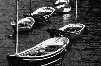 Present-day Basque inshore fishing boats, similar in length to sixteenth-century pinazas.