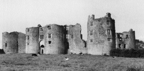 Roscommon Castle-in 1416 an official document claimed that the O'Conors held it ‘for the King's use'! (Tom McNeill, Castles in Ireland)