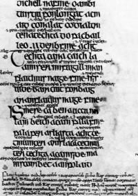 A page from a fourteenth-century legal manuscript. The text in large lettering is the actual law, while the smaller text is an explanation or gloss of the law. The text at the bottom of the page is a commentary on the law. (Trinity College, Dublin)
