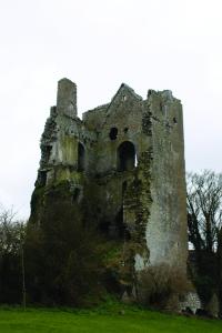 The ruins of Culahill Castle, Co. Laois, near which the medical school of Aghmacart existed during the sixteenth and seventeenth centuries.