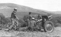 An FCA artillery crew in the Glen of Imaal—their 4.5in. howitzer dates from the First World War.