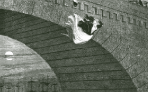 Above: Reformed alcoholic and Dickens’s first illustrator George Cruickshank’s depiction from The drunkard’s children of a distraught young woman leaping to her death from a bridge, colourfully captioned ‘The poor girl, homeless, friendless, deserted, destitute, and gin-mad, commits self-murder’.