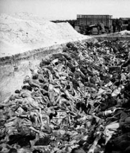 at the liberation of Bergen-Belsen