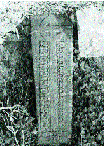 One of several ledger slabs from Kilcorban friary, featuring a wheel-headed cross with a Calvary base of three steps and decorated with vine-leaves, which have Eucharistic symbolism.