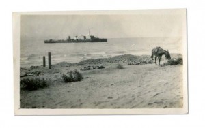 A mule grazes on Gully Beach while a British destroyer waits offshore. (Glucksman Library, UL)