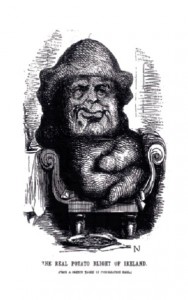 Daniel O’Connell was caricatured in the English press as the big, ‘potato-faced’ agitator, ‘the very impersonation of a laughing lumper’. (Punch)